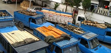 توقیف خودرو‌های حامل چوب قاچاق در آمل