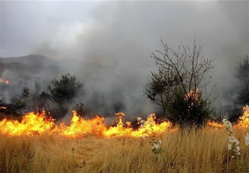 تهدید جدی حیات 