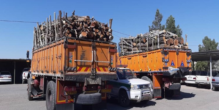 کشف 20 تن چوب جنگلی قاچاق در سیرجان کشف 20 تن چوب جنگلی قاچاق در سیرجان