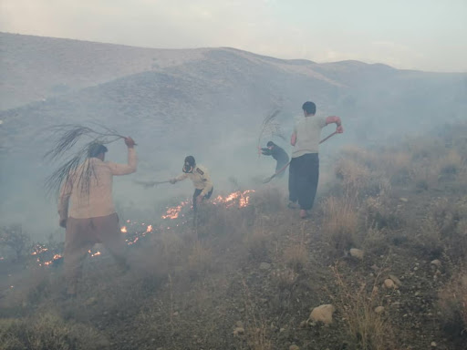 مهار آتش‌سوزی مرز میان نی‌ریز و استهبان