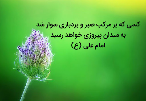 صبر و انواع آن از دیدگاه آیات و روایات صبر و انواع آن از دیدگاه آیات و روایات