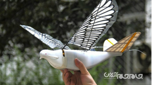 شهروندان چینی تحت نظارت چشمان تیزبین پهپادهایی با ظاهر پرندگان+عکس
