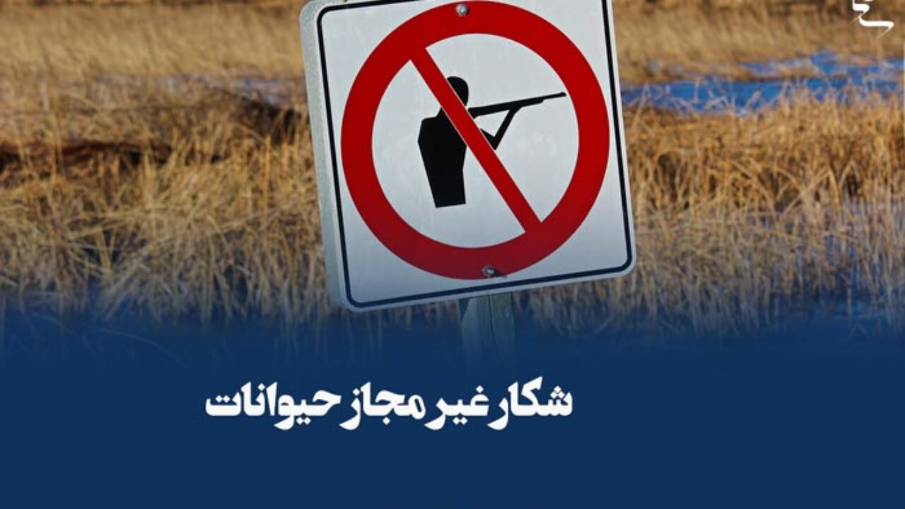 کشف ۱۰۸ مورد تخلف صید و شکار فقط در ۴ ماه در تهران