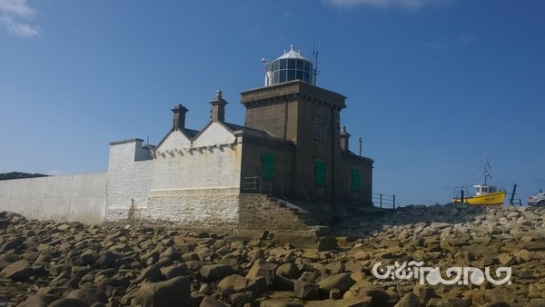 ۱۰ واقعیت جالب و باورنکردنی در مورد جنگ جهانی دوم که کمتر کسی از آن&zwnj;ها مطلع است+عکس