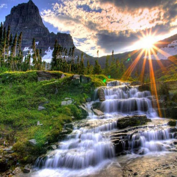 شگفتی‌های آفرینش در نهج البلاغه