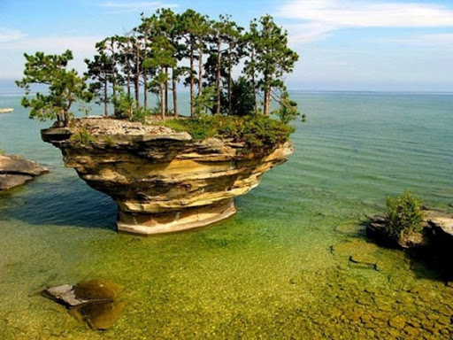 شگفتی‌های آفرینش در نهج البلاغه