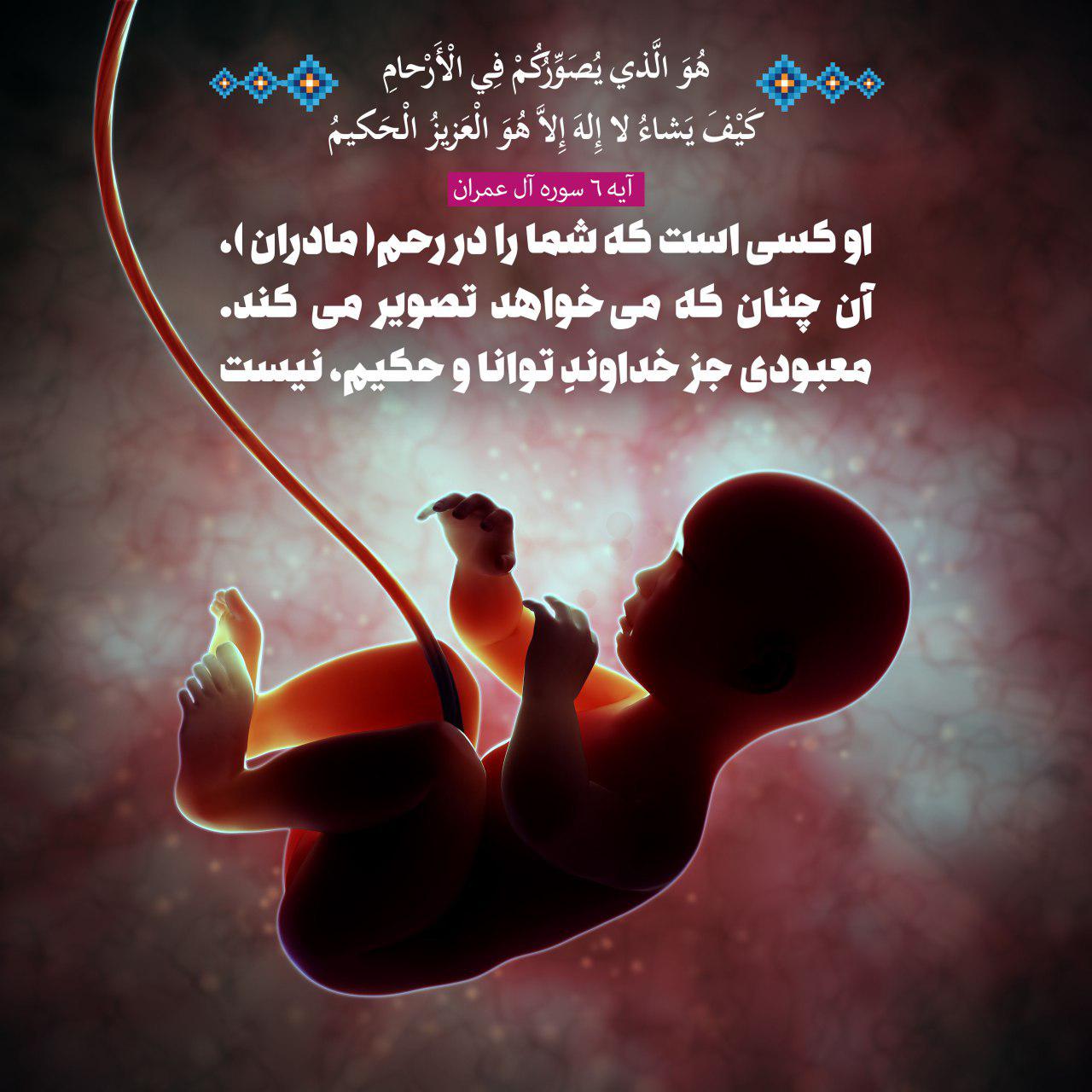 شگفتی‌های آفرینش در نهج البلاغه