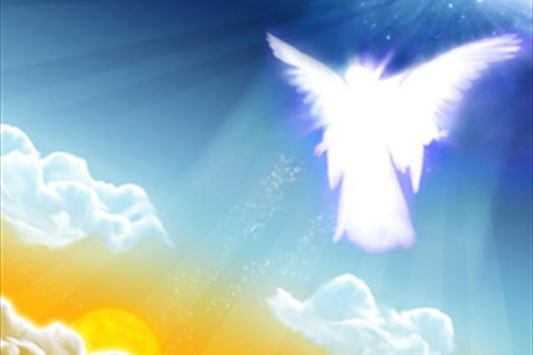 معمای آفرینش به روایت امام علی(ع)/ راه درک شگفتی خلقت