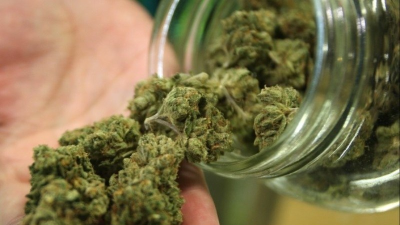 کشف ۱۰ کیلوگرم ماده مخدر ٰ گل ٰ در الیگودرز کشف ۱۰ کیلوگرم ماده مخدر ٰ گل ٰ در الیگودرز