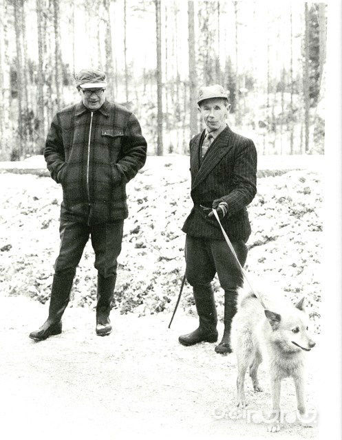 «سیمو هایها» ملقب به «مرگ سفید»؛ مرگبارترین و مخوف‌ترین تک تیرانداز تاریخ جهان+عکس