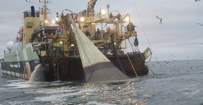 ۲ فروند کشتی صید ترال در جاسک توقیف شد