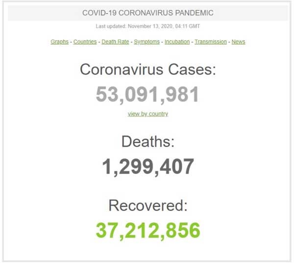 عبور شمار مبتلایان جهانی کرونا از ۵۳ میلیون نفر عبور شمار مبتلایان جهانی کرونا از ۵۳ میلیون نفر