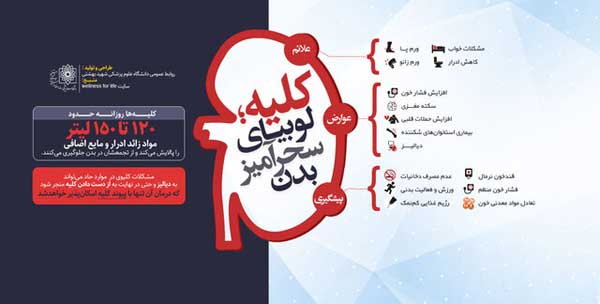 هر آنچه باید درباره سلامت لوبیای سحرآمیز بدن بدانیم هر آنچه باید درباره سلامت لوبیای سحرآمیز بدن بدانیم