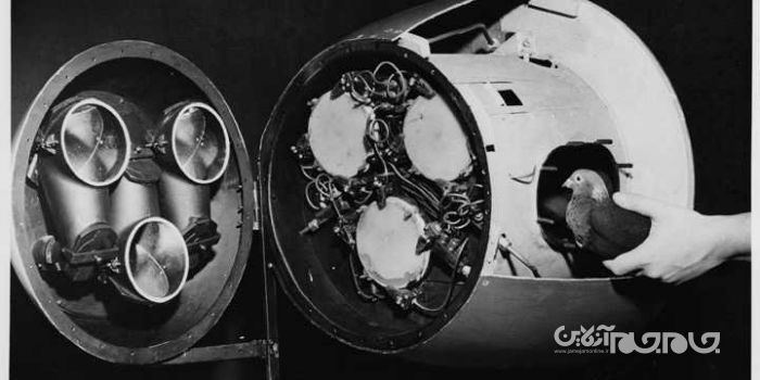 ۲۲ سلاح عجیب و غریبی که انسان ها برای میدان نبرد ساخته اند؛ قسمت اول+عکس