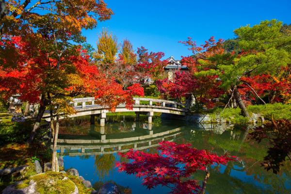 دراز و نشست، جریمه نزدن ماسک! (تصاویر)