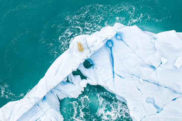 برترین عکس های «اقیانوسی» در سال 2020 برترین عکس های «اقیانوسی» در سال 2020