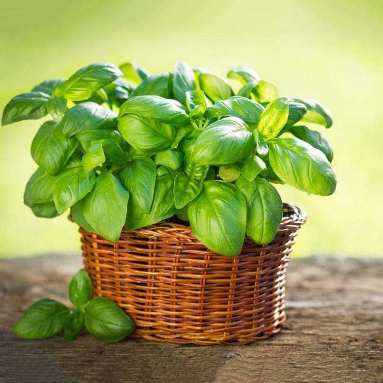 درمان برای رفع زگیل در خانه و به صورت طبیعی درمان برای رفع زگیل در خانه و به صورت طبیعی