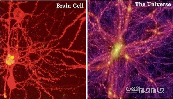 دانشمندان از شباهت شگفت‌انگیز بین ساختار جهان هستی و مغز انسان می‌گویند+عکس