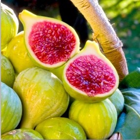 33 فایده و خواص انجیر برای سلامتی و زیبایی 33 فایده و خواص انجیر برای سلامتی و زیبایی