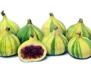 33 فایده و خواص انجیر برای سلامتی و زیبایی 33 فایده و خواص انجیر برای سلامتی و زیبایی