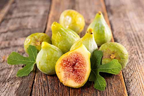 33 فایده و خواص انجیر برای سلامتی و زیبایی 33 فایده و خواص انجیر برای سلامتی و زیبایی