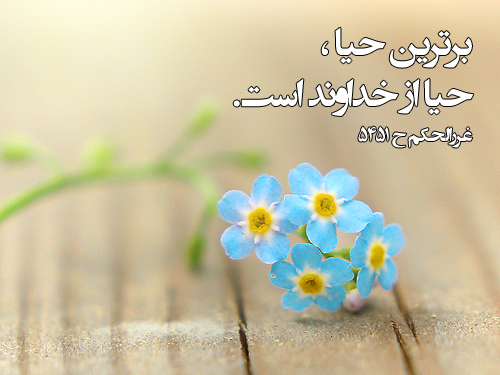 آیا حیای مذموم هم داریم؟ آیا حیای مذموم هم داریم؟