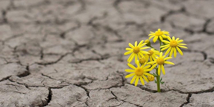 امید با ما چه می‌کند؟