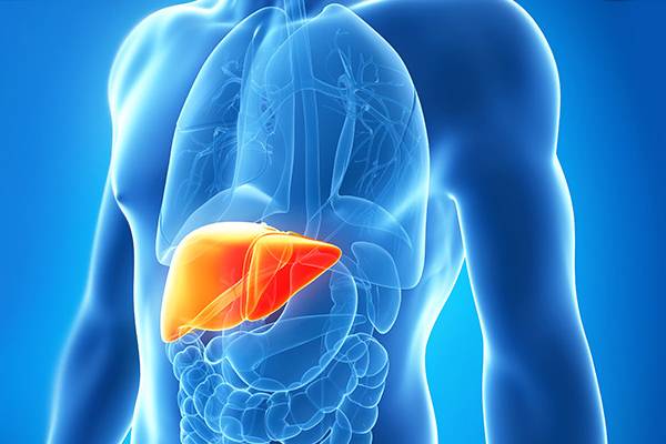 نقش خرمالو در سلامت کبد!