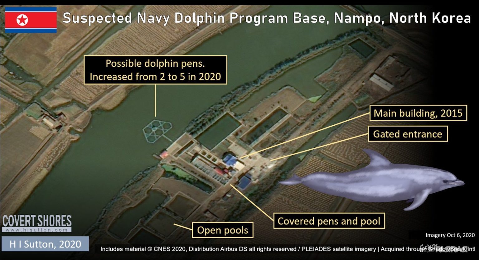 آموزش دلفین در کره شمالی برای حمله به غواصان دشمن و خنثی کردن مین های دریایی+عکس