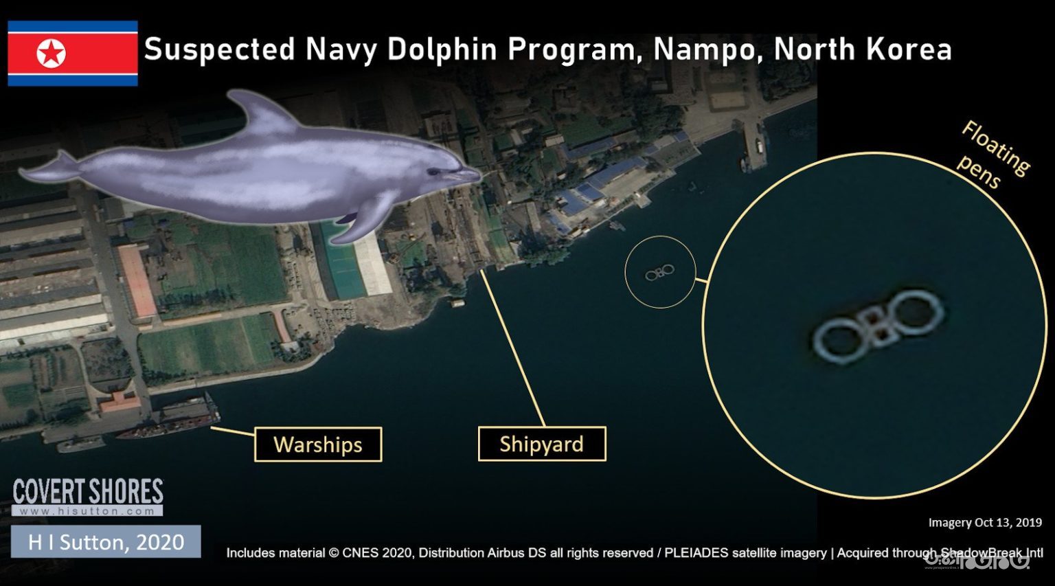 آموزش دلفین در کره شمالی برای حمله به غواصان دشمن و خنثی کردن مین های دریایی+عکس