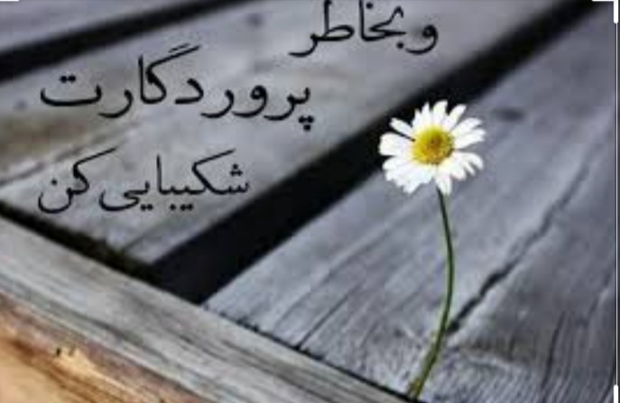 عکس العمل های قرآنی در مقابل بد رفتاری دیگران عکس العمل های قرآنی در مقابل بد رفتاری دیگران