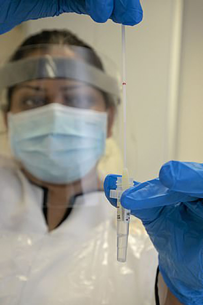 دور دنیا در قاب تصاویر؛ بوقلمون ها روی دست ماند!