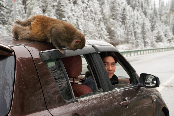 حیوانات می توانند اما مهاجران نه! (تصاویر)