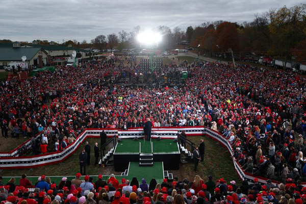 دور دنیا در قاب تصاویر؛ عملیات کشتن زنبورهای قاتل