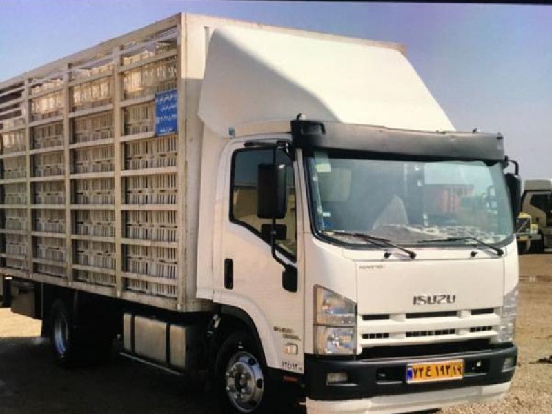 توقیف یک دستگاه کامیون با 225 قطعه بوقلمون توقیف یک دستگاه کامیون با 225 قطعه بوقلمون