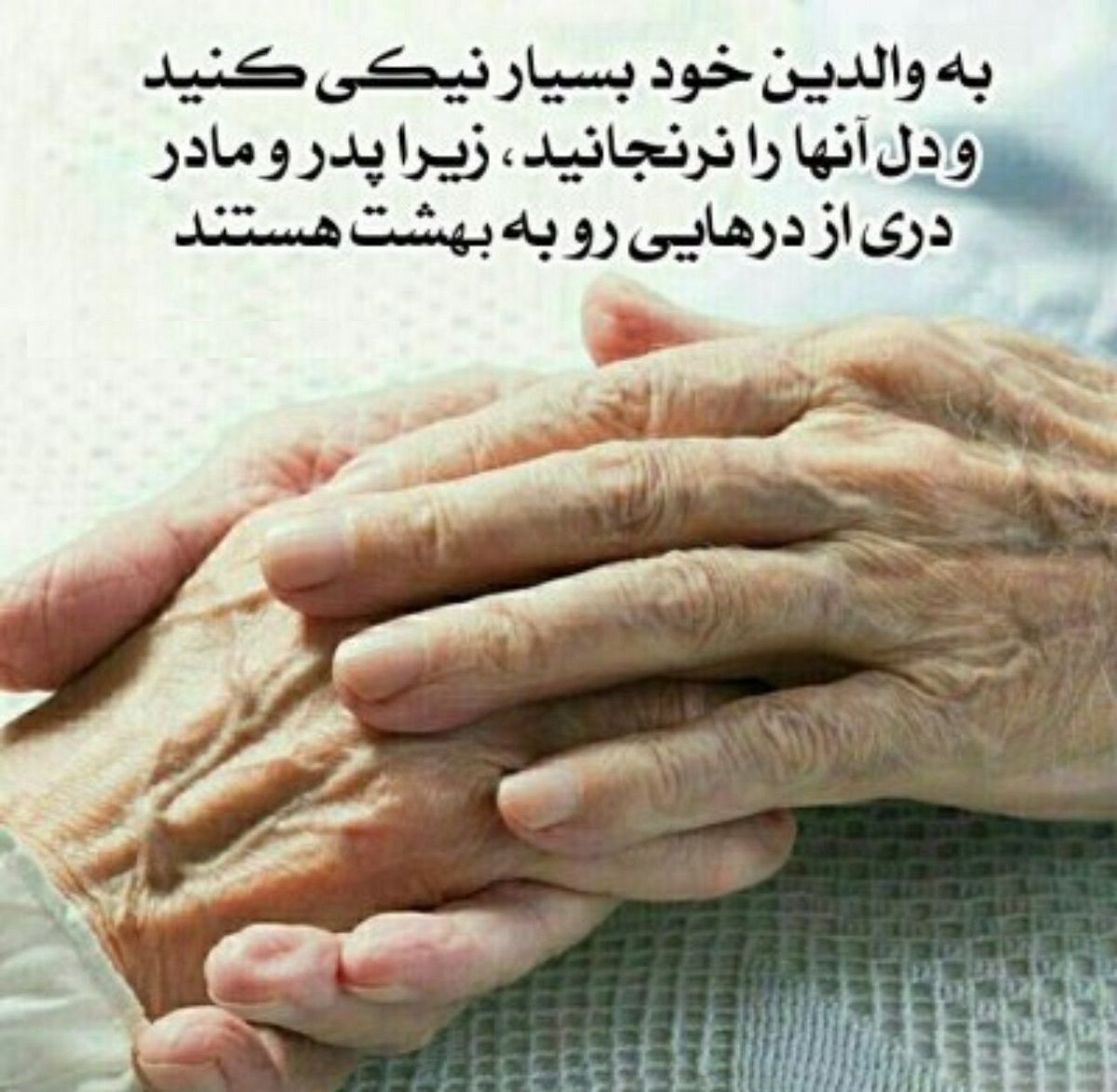 فلسفه نیکی به پدر مادر