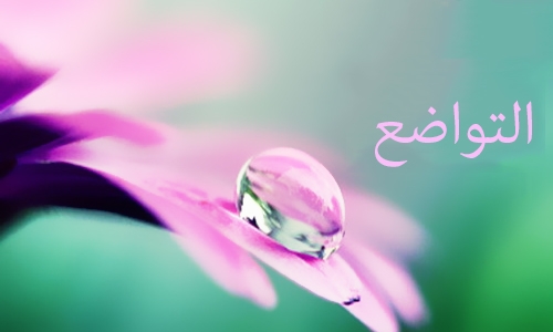 سیره عملی و احادیث پیامبر (ص) سرشار از تواضع و فروتنی و دوری از تکبر  است