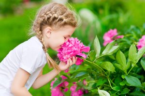 تاثیر گل و گیاه بر روحیه انسان در روز های کرونایی!