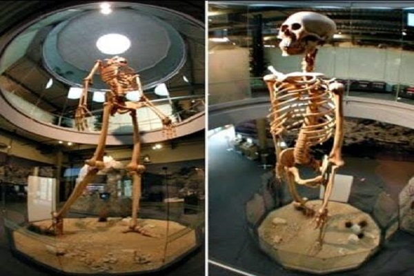 غول هایی که روی زمین زندگی می کردند (+عکس)