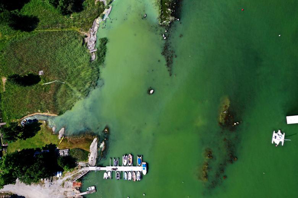 تصاویر برگزیده محیط زیست در 2020 (2)