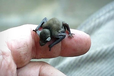 از پرجمعیت ترین تا ثروتمندترین کشورها