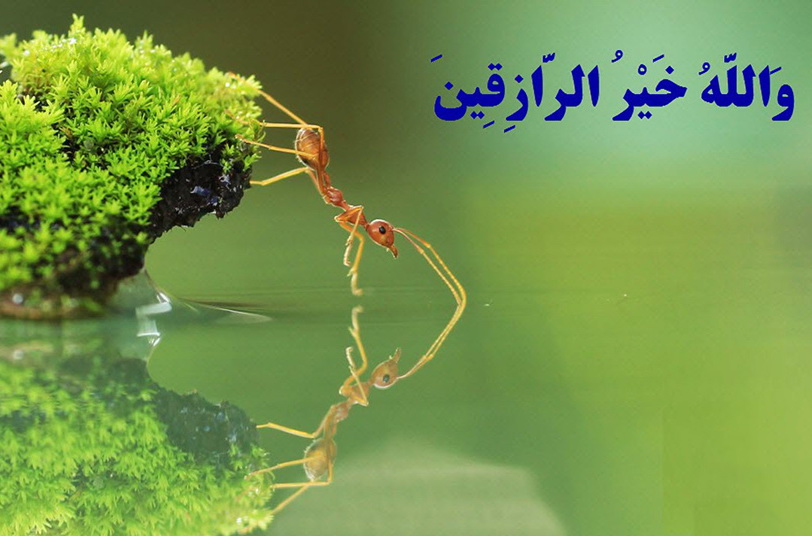 رزق و روزی از منظر آیات و روایات