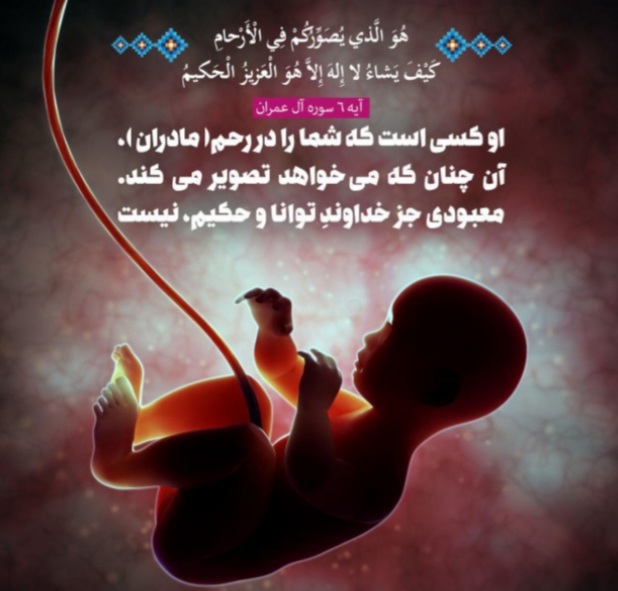 حق انسان در استفاده از بدن خود