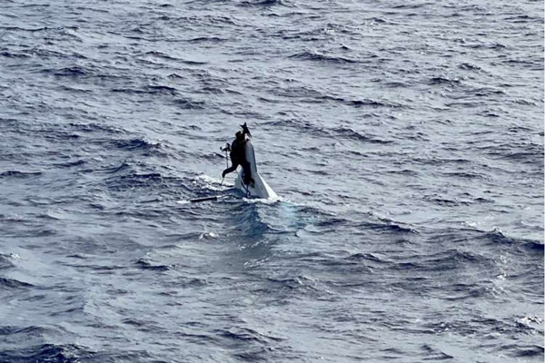 گوزن های گرسنه در تعقیب عابران پیاده / بیمار کرونایی در آغوش پزشک (تصاویر)