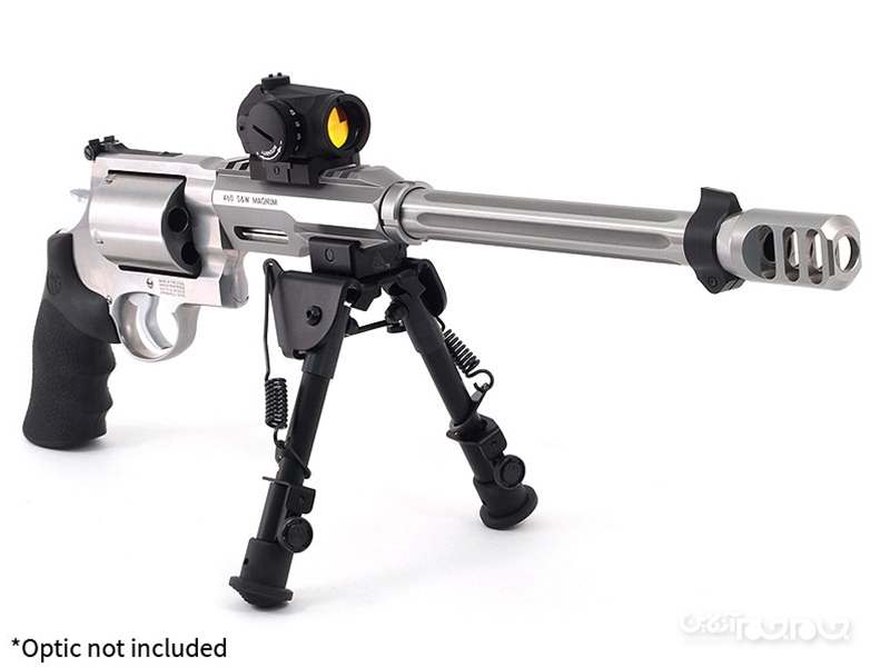 تعدادی از قوی ترین مدلهای تفنگ دستی+عکس