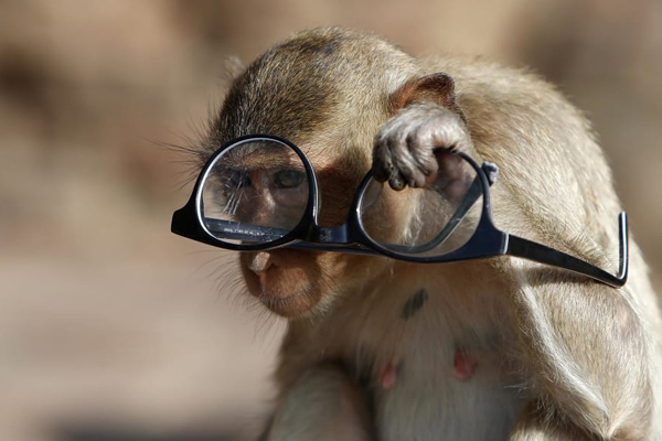 اعتراض کشاورزان در هند / مثل یک دختر بازی کن (تصاویر) اعتراض کشاورزان در هند / مثل یک دختر بازی کن (تصاویر)