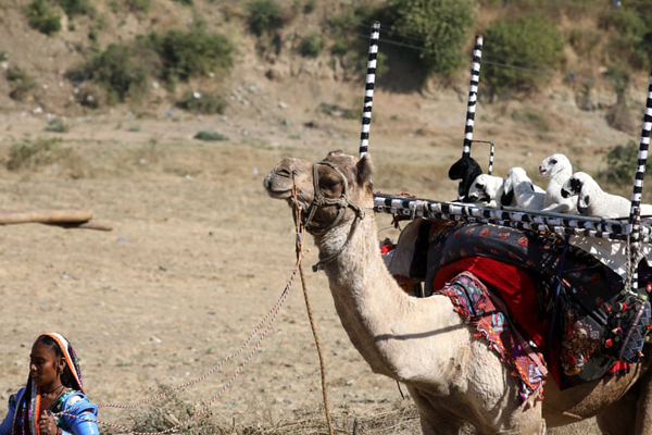 شیطان و فرشته در خیابان / دیدار با همسر از پشت کاور پلاستیکی (تصاویر) شیطان و فرشته در خیابان / دیدار با همسر از پشت کاور پلاستیکی (تصاویر)