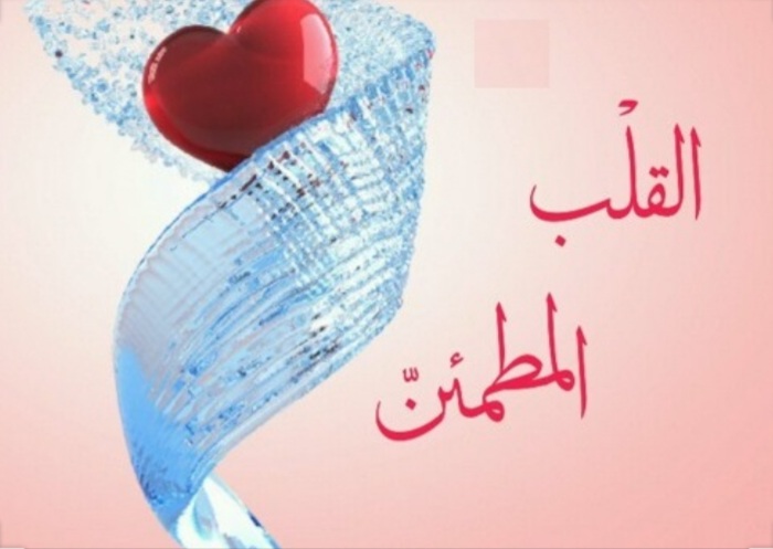 انواع قلب در قرآن کریم