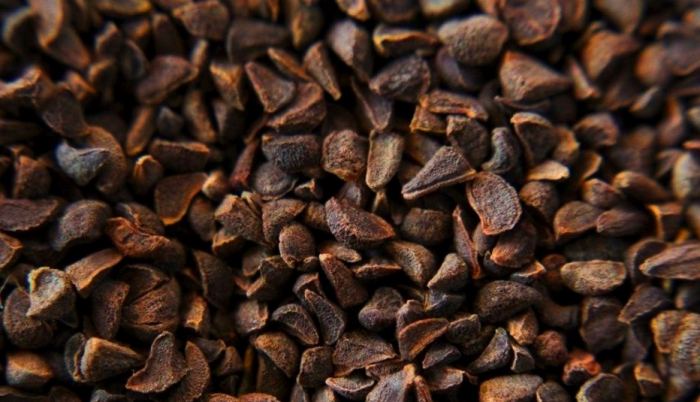 فواید اسپند برای درمان میگرن فواید اسپند برای درمان میگرن