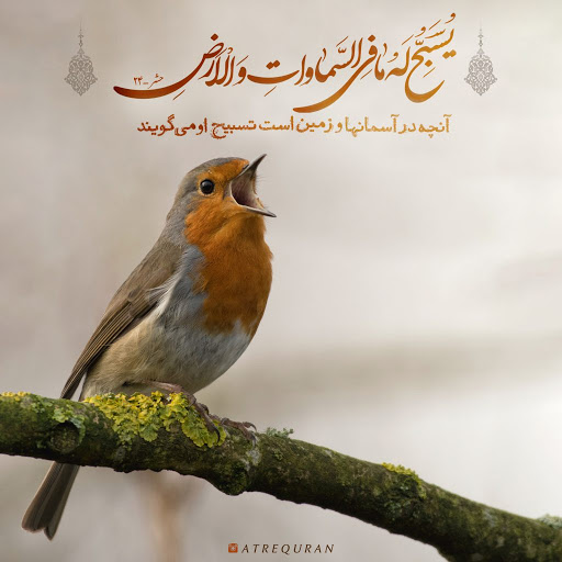 تسبیح موجودات از منظر قرآن کریم